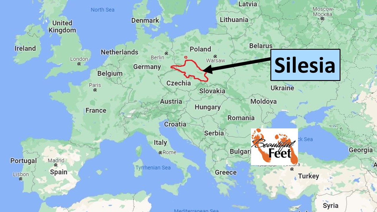 Silesia Mapa Sklepu